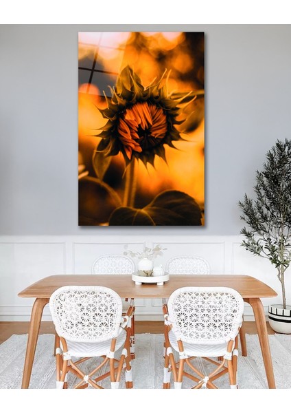 Ayçiçeği Cam Tablo fiyatları