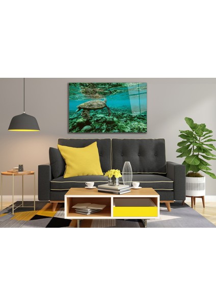 Deniz Kaplumbağası Cam Tablo fırsatları