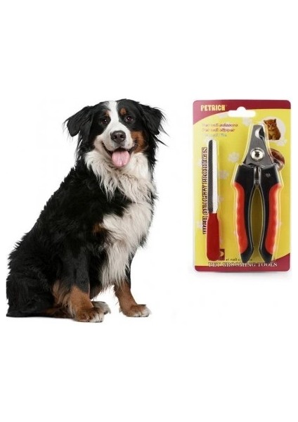 Yaylı Evcil Hayvan Tırnak Makası - Paslanmaz Çelik Törpülü Set fiyatları