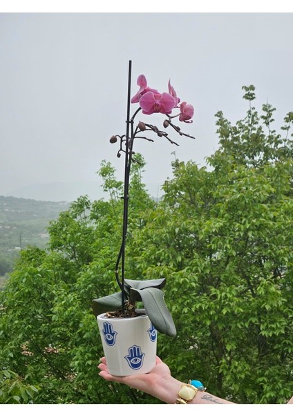 Altı Delikli Fatmanın Eli Seramik Saksı