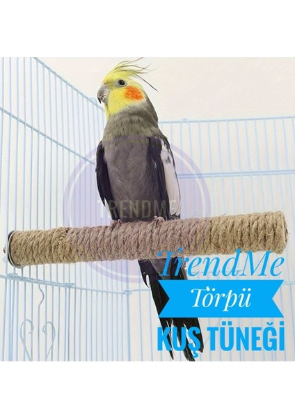 Trendme Kuş Törpü Kuş Tüneği 2 Adet fiyatları