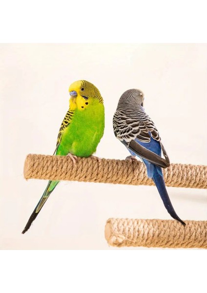 Trendme Kuş Törpü Kuş Tüneği 2 Adet indirimleri