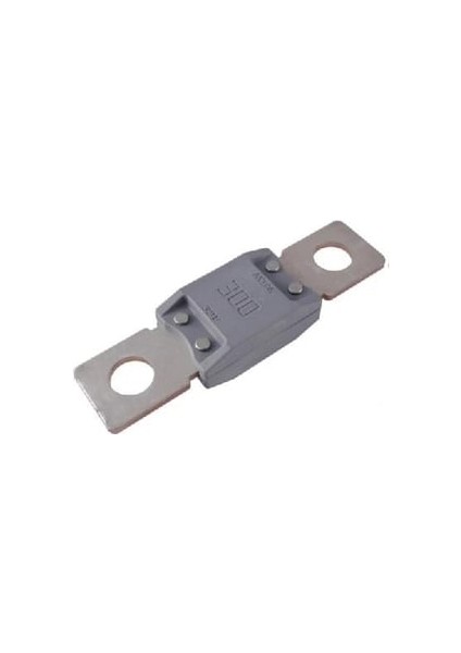 Megaval Sigorta 300 A (69*19 Mm) - Mta 0601300