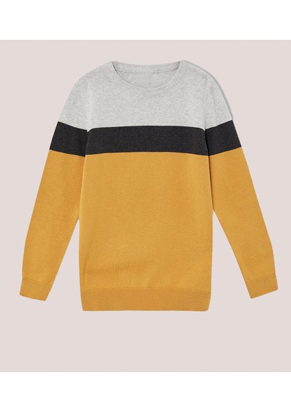 Alexandergardı Erkek Çocuk Renk Bloklu Kazak (C21-1867)