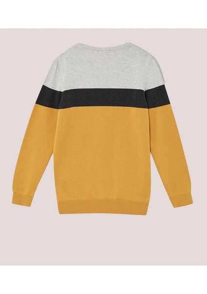 Alexandergardı Erkek Çocuk Renk Bloklu Kazak (C21-1867) fiyatları