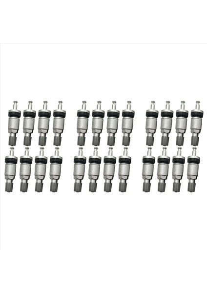 Lastik Basıncı Izleme Sistemi Sensör Valfı Kök Onarım Kiti Için Buick Alaşım Tubless Valf Için 24 Pcs Tpms Lastik Valfleri (Yurt Dışından)