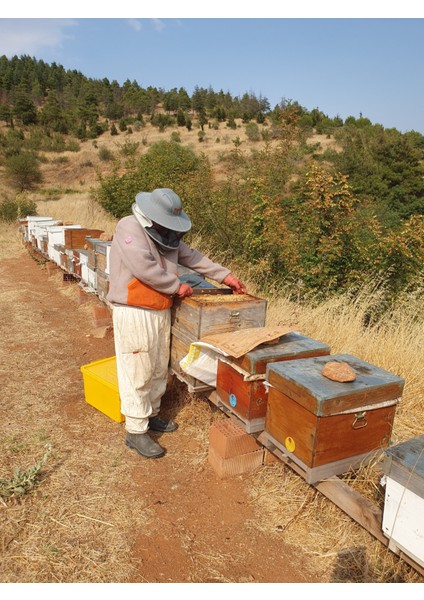 Kapıdağ Ham Kestane Balı 2025 Sağımı (Analiz Raporlu) modelleri