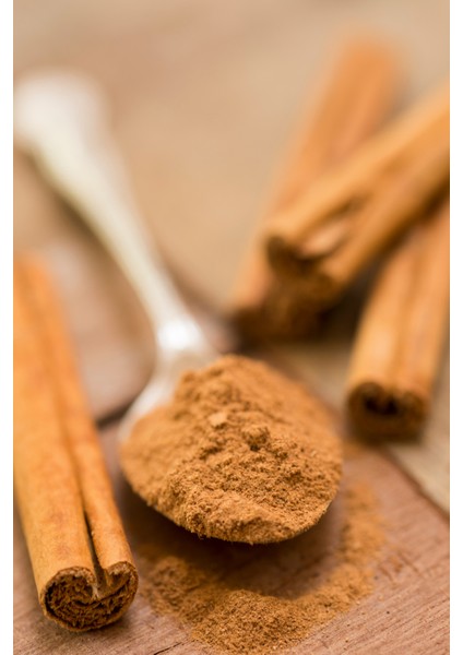 Tarçın Toz Deluxe Seri Organik Lezzetli 100 gr modelleri