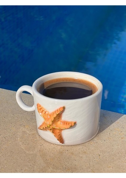 Deniz Yıldızı Fincan fiyatları