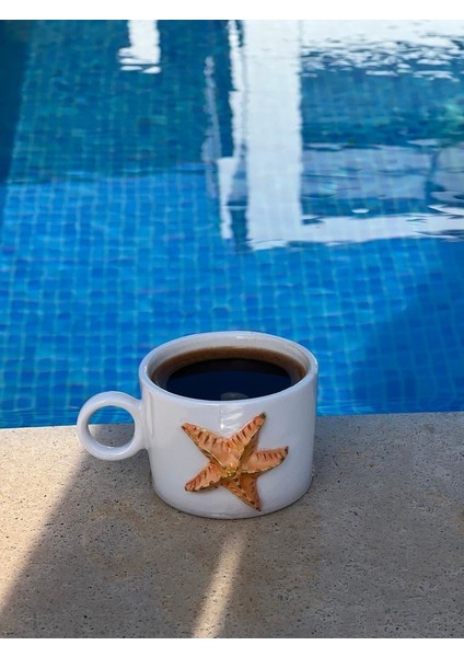 Deniz Yıldızı Fincan fırsatları