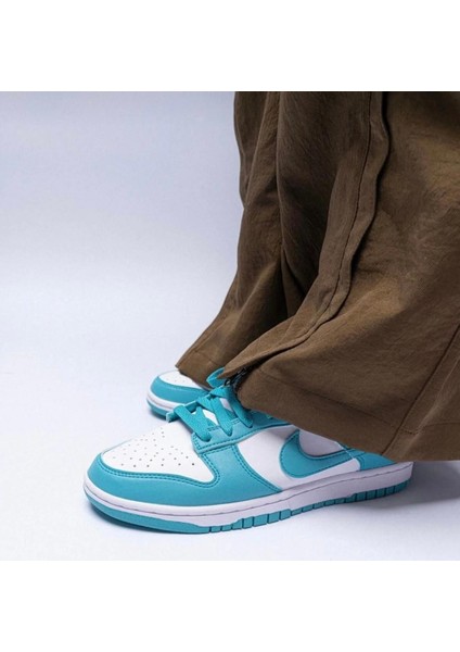 Dunk Low Next Nature Kadın Sneaker Ayakkabı (Ctstore) fiyatları