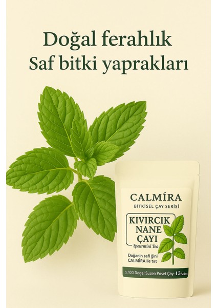 Kıvırcık Nane Çayı 15 Süzen Poşet / Spearmint Tea / Pcos & Sindirim Dostu / 15 Gün fırsatları