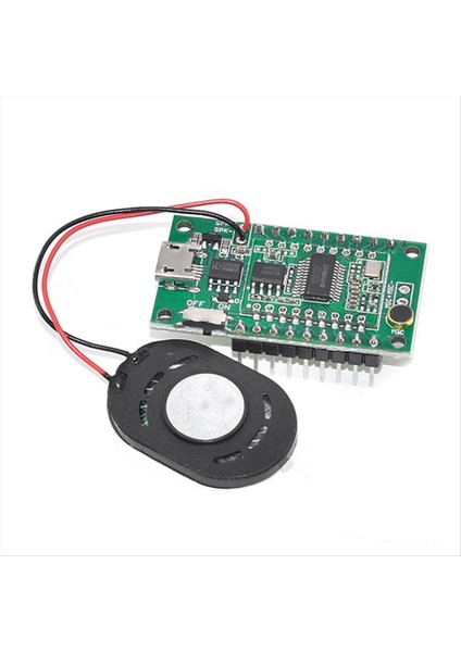 Aı Akıllı Ses Tanıma Geliştirme Kurulu Çevrimdışı Ses K (Yurt Dışından)