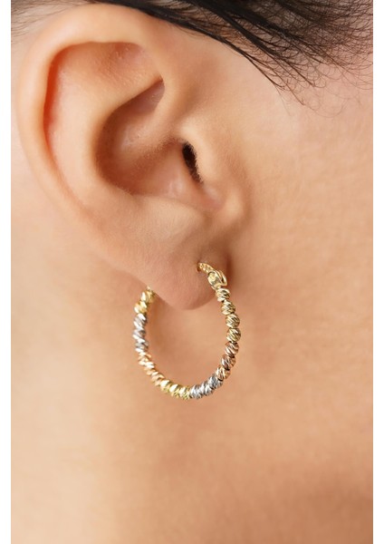 14 Ayar Altın Renkli Dorika Halka Küpe