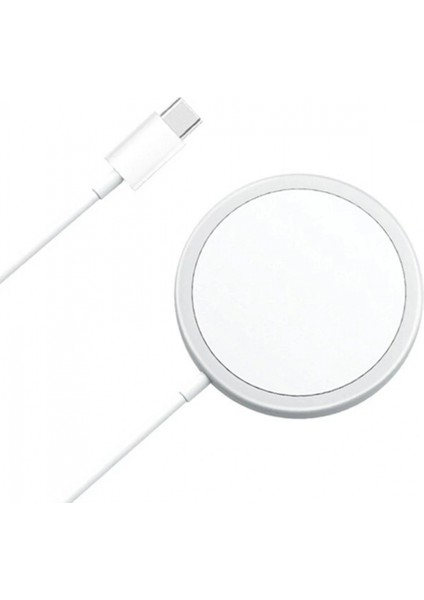 M300 Magneticsafe Kablosuz Şarj fiyatları