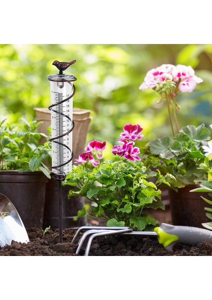 Kapasiteli Cam Spiral Yağmur Ölçer, Dökme Demir Kuş Asılı Yağmur Ölçer, Metal Çerçeve ile Bahçe Yağmur Suyu Sayacı Ölçümü (Yurt Dışından) fırsatları