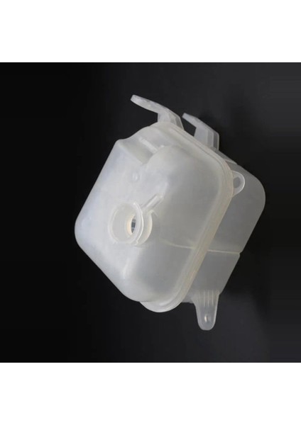 Hyundai Tucson Için 2x 254312E100 Radyatör Rezervuar Tankı 2004-2005 Kıa Sportage 2004 2005 2006 2 0l 2 7l Soğutucu Tankı (Yurt Dışından) modelleri