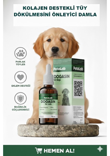 Dogasin For Dogs 50 Ml - Köpekler Için Kolajenli Damlası