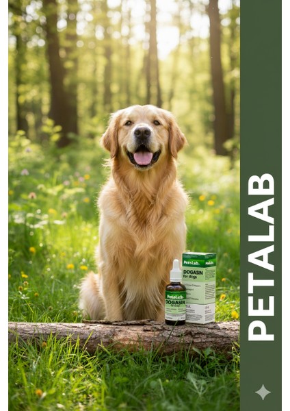 Dogasin For Dogs 50 Ml - Köpekler Için Kolajenli Damlası
