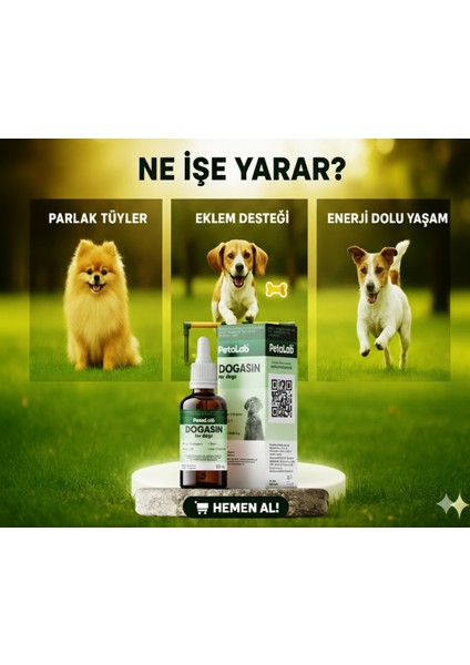 Dogasin For Dogs 50 Ml - Köpekler Için Kolajenli Damlası