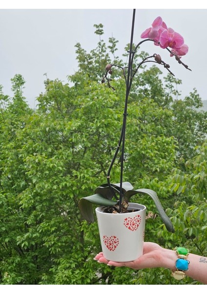 Altı Delikli Bol Kalpli Seramik Saksı