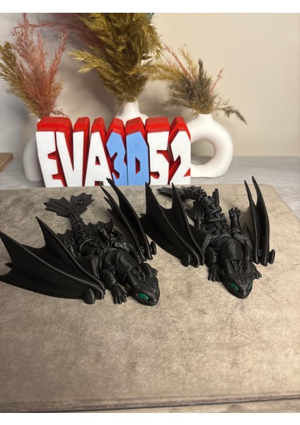 Dişsiz Dragon Ejderhanı Nasıl Eğitirsin