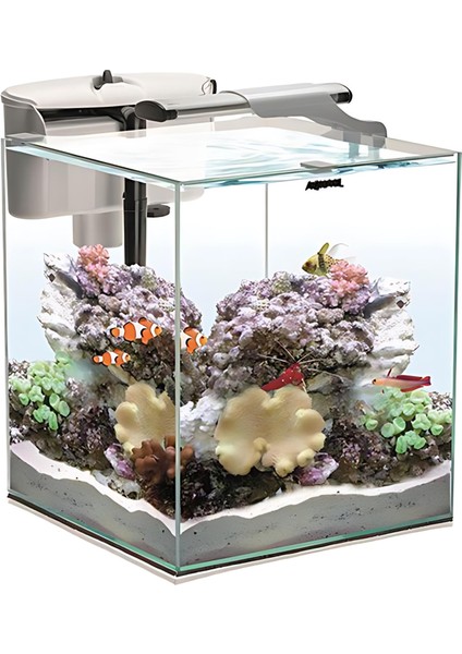 Set Nano Reef Duo 35 Akvaryum Beyaz fiyatları