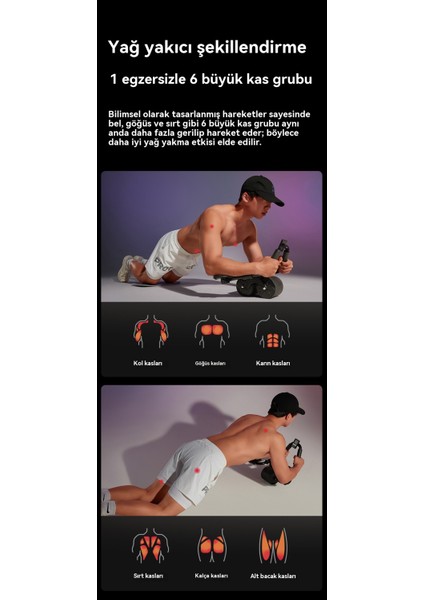 Karın Tekerleği Için Otomatik Geri Dönen Tekerlek Tipi Düz Destek (Yurt Dışından) fiyatları