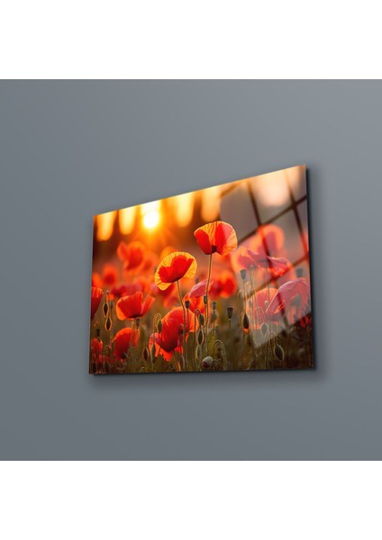 Haşhaş Çiçeği Duvar Dekoru , Gelincik Çiçeği Cam Tablo , Canlı Renkler , Yüksek Kalite, Temperli Cam