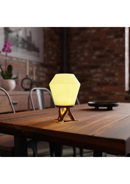 Modern Organik Tasarım Masa Lambası – Akışkan Formlu Minimalist | Ev ve Ofis Için Doğal Ilhamlı Dekoratif Aydınlatma modelleri