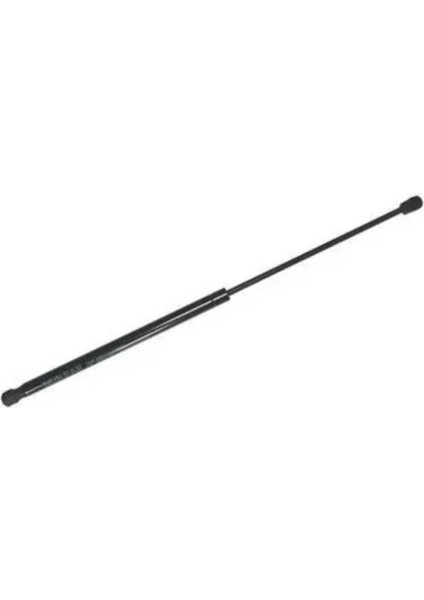 Bmw Kaput Amortisörü E65