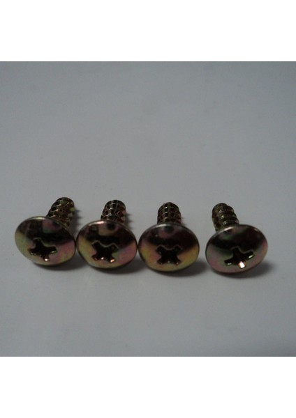 Hurst Lastik Değiştirici Önyükleme Için Krom Plakalı 5/8 Inç x 6 3/4 Inç Manuel Otomatik 350 (Yurt Dışından) indirimleri