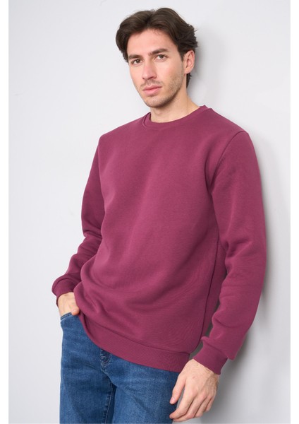 Çetinkaya Mentality 3036 3 Ip Bisiklet Yaka Mürdüm Sweatshirt