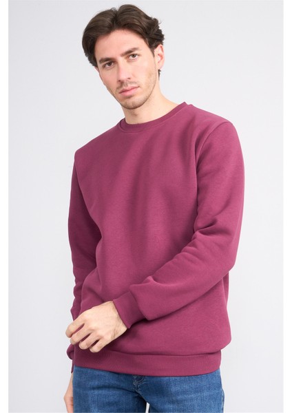 Çetinkaya Mentality 3036 3 Ip Bisiklet Yaka Mürdüm Sweatshirt fiyatları