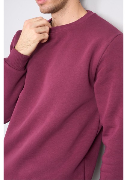 Çetinkaya Mentality 3036 3 Ip Bisiklet Yaka Mürdüm Sweatshirt fırsatları