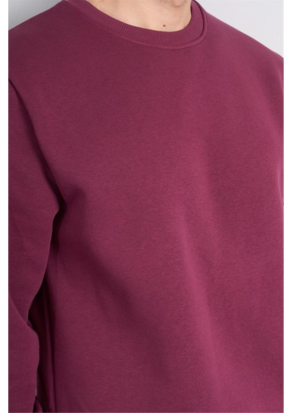 Çetinkaya Mentality 3036 3 Ip Bisiklet Yaka Mürdüm Sweatshirt indirimleri