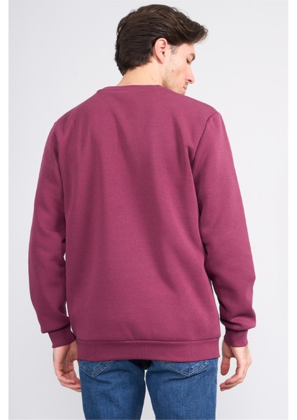 Çetinkaya Mentality 3036 3 Ip Bisiklet Yaka Mürdüm Sweatshirt