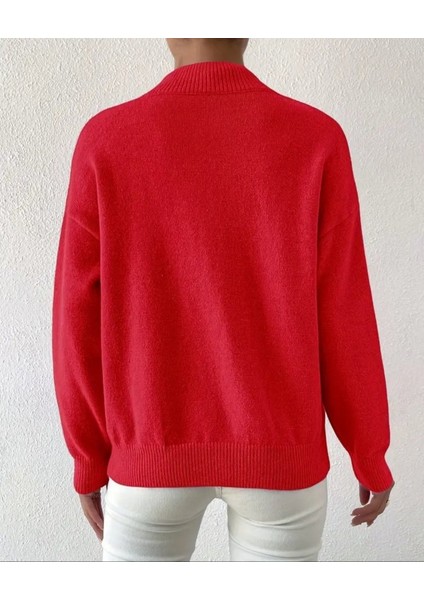 Kadın Uzun Kollu Balıkçı Yaka Triko Bluz fiyatları