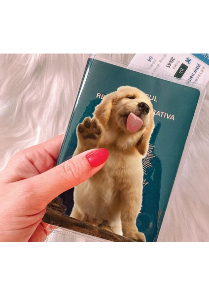 Tüm Ülke Pasaportları ile Uyumlu Şeffaf Pvc Baskılı Cepli Pasaport Kılıfı Kabı - Labrador