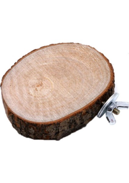 Ağaç Dilim Kuş Tüneği modelleri