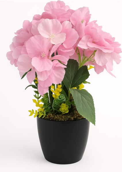 Pink Harmony Hydrangea – Pembe Ortanca Aranjmanı