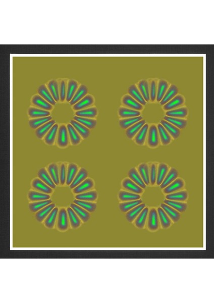 Manyetik Alan Görüntüleme Filmi, Bilimsel Proje Öğretimi Için Manyetik Alanları Görmek Için Manyetik Alan Dedektörü 4 x 4 Inç (Yurt Dışından) fırsatları