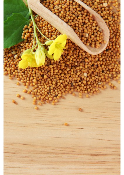 Sarı Hardal Tohumu Deluxe Seri Organik Lezzetli 300 gr modelleri