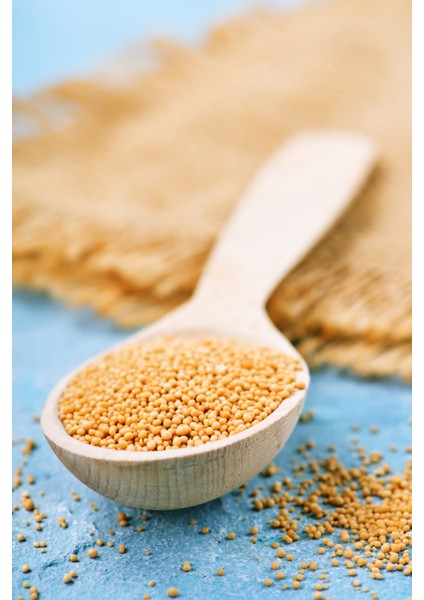 Sarı Hardal Tohumu Deluxe Seri Organik Lezzetli 300 gr fırsatları