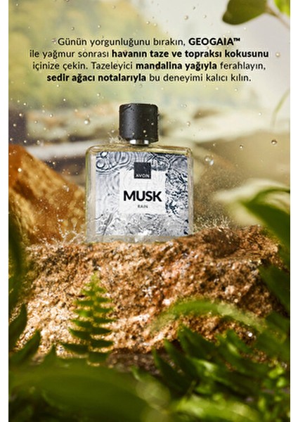 Musk+ Rain 75 ml Erkek Parfüm EDT Aromatik Ferah Koku ile Gerginliği Unutturur fırsatları