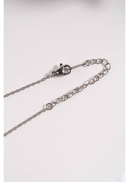 Kadın 316 L Çelik Stainless Steel Damgalı Leopar Kolye modelleri