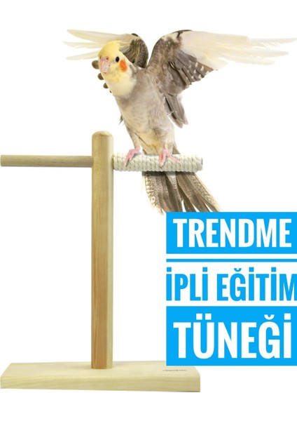 Trendme Kuş Ipli T Tünek Eğitim