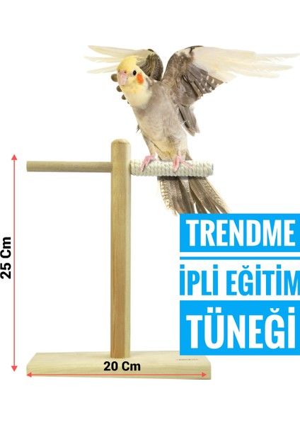 Trendme Kuş Ipli T Tünek Eğitim fiyatları