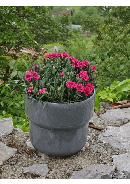 Altı Delikli Dev Boy Antrasit Seramik Saksı fiyatları