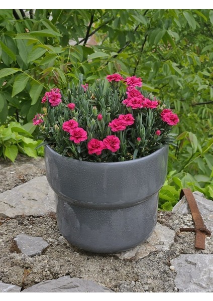 Altı Delikli Dev Boy Antrasit Seramik Saksı fırsatları